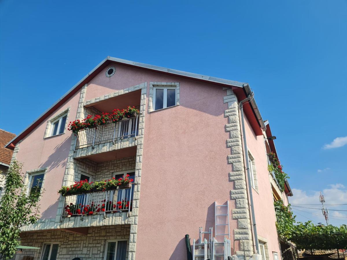 Sakota Family House Διαμέρισμα Sremska Kamenica Εξωτερικό φωτογραφία